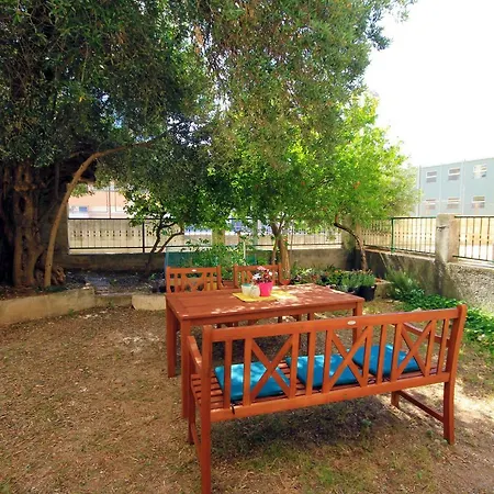 Lemon Tree